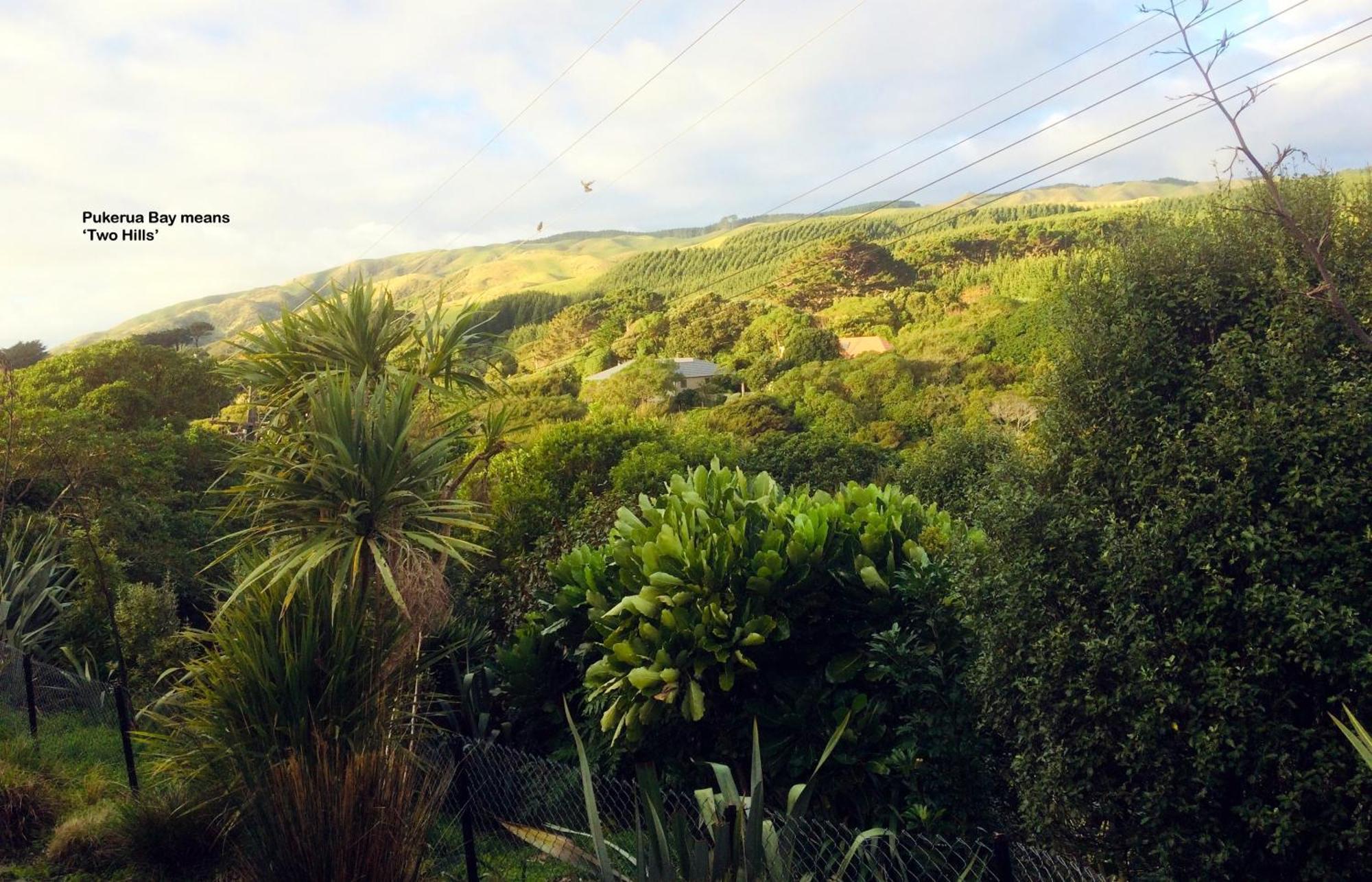 Peaceful Pukerua Bay Appartement Buitenkant foto